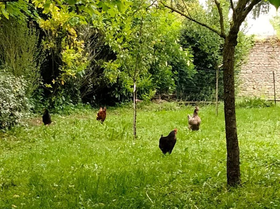 Le Cinq, Au Coeur Du Vexin Villa Themericourt Kültér fotó